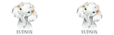 HMSMG039